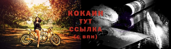 эйфоретик Арсеньев