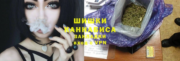 эйфоретик Арсеньев